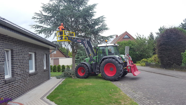 Baumkontrolle per Arbeitskorb am Wohnhaus in Stemwede